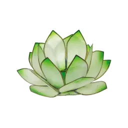 Photophore lotus - coloris vert lime