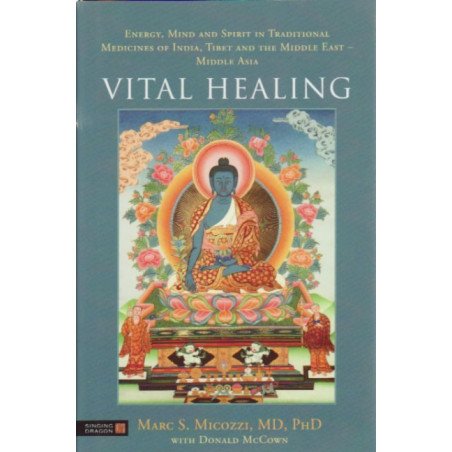Vital Healing - Energy, Mind and Spirit in Traditional Medicines of In