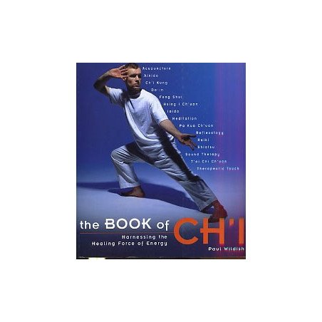 The Book of Ch'i - Harnessing the Healing Force of Energy