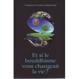 Et si le bouddhisme vous changeait la vie ?