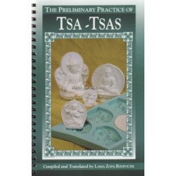 THE PRELIMINARY PRACTICE OF TSA-TSAS