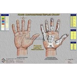 Hand Acupuncture Reflex Chart  (Double A3)