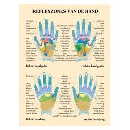 Reflexzones van de hand (Poster A2)