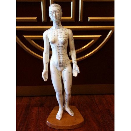 Acupuncture Model Female Chinese/English