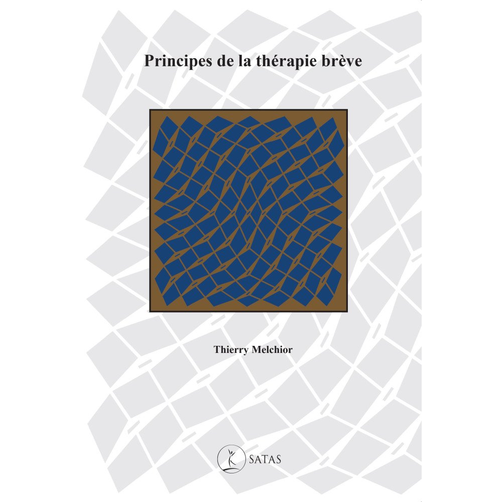 Principes de la thérapie brève