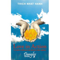 Love in Action - La non-violence au service des autres