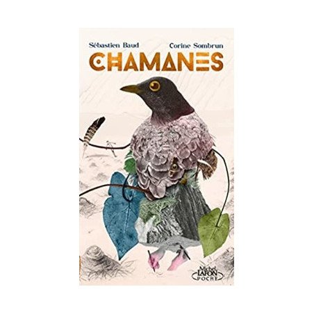 Chamanes - Voyage au coeur de la nature Poche