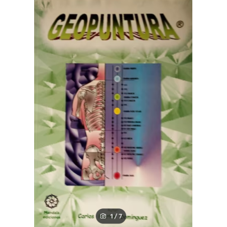 Geopuntura