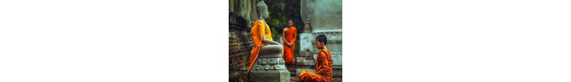 Buddhism - Mudras